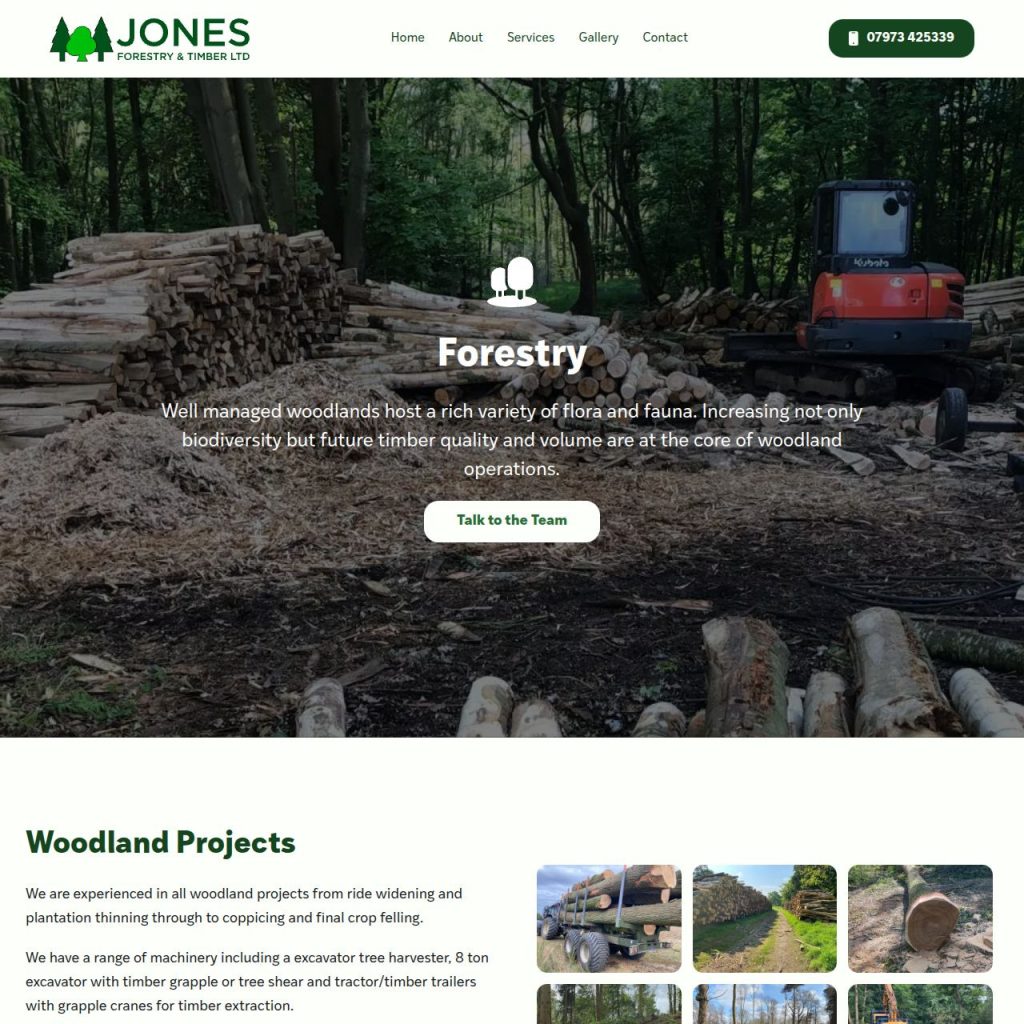 Jones Forestry & Timber illustration 2